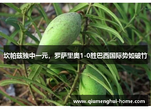 坎帕兹独中一元，罗萨里奥1-0胜巴西国际势如破竹