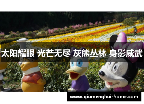 太阳耀眼 光芒无尽 灰熊丛林 身影威武